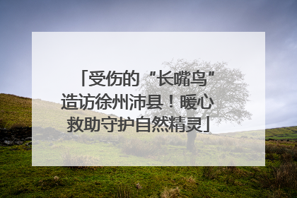 受伤的“长嘴鸟”造访徐州沛县！暖心救助守护自然精灵