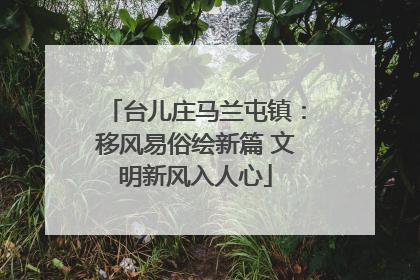 台儿庄马兰屯镇：移风易俗绘新篇 文明新风入人心