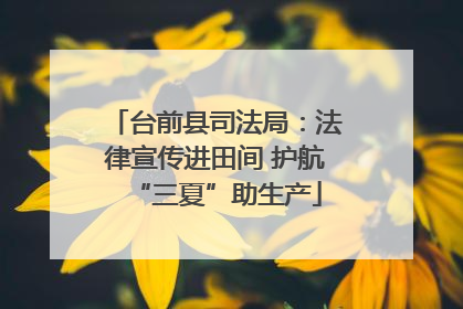 台前县司法局：法律宣传进田间 护航“三夏”助生产