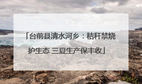 台前县清水河乡：秸秆禁烧护生态 三夏生产保丰收