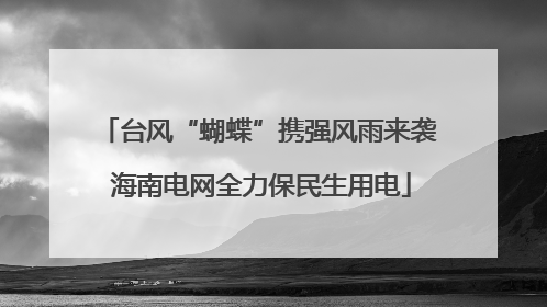 台风“蝴蝶”携强风雨来袭 海南电网全力保民生用电