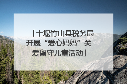 十堰竹山县税务局开展“爱心妈妈”关爱留守儿童活动