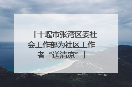 十堰市张湾区委社会工作部为社区工作者“送清凉”
