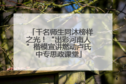 千名师生同沐榜样之光！“出彩河南人”楷模宣讲燃动卢氏中专思政课堂