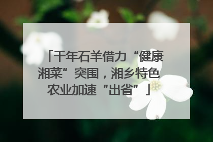 千年石羊借力“健康湘菜”突围，湘乡特色农业加速“出省”