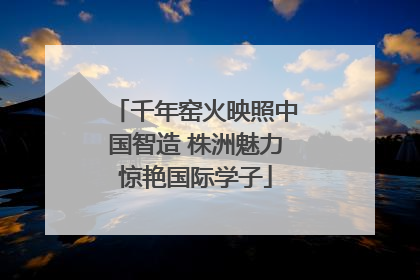 千年窑火映照中国智造 株洲魅力惊艳国际学子
