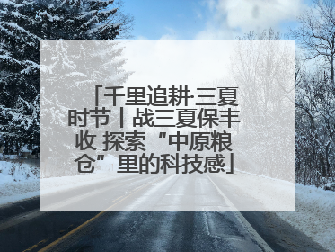 千里追耕·三夏时节丨战三夏保丰收 探索“中原粮仓”里的科技感