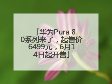 华为Pura 80系列来了，起售价6499元，6月14日起开售