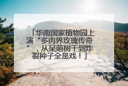 华南国家植物园上演“多肉界玫瑰传奇”，从呆萌树干到炸裂种子全是戏！
