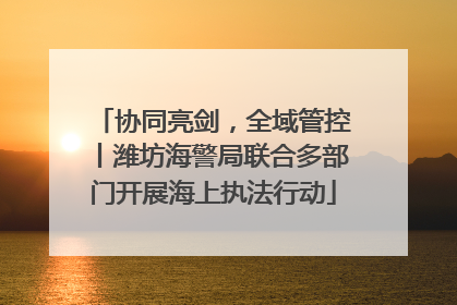 协同亮剑，全域管控丨潍坊海警局联合多部门开展海上执法行动
