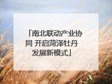 南北联动产业协同 开启菏泽牡丹发展新模式