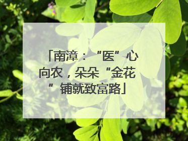 南漳：“医”心向农，朵朵“金花”铺就致富路