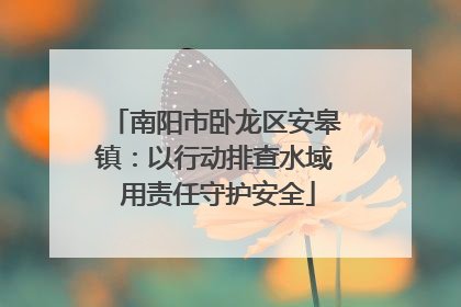 南阳市卧龙区安皋镇：以行动排查水域 用责任守护安全