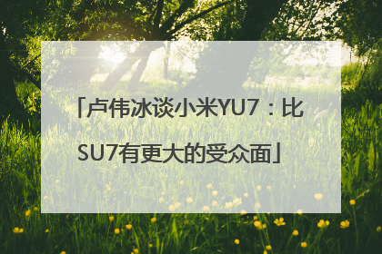 卢伟冰谈小米YU7：比SU7有更大的受众面