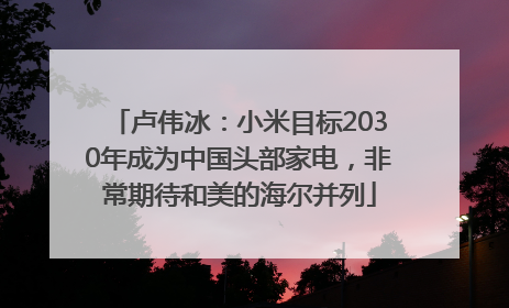 卢伟冰：小米目标2030年成为中国头部家电，非常期待和美的海尔并列