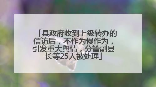 县政府收到上级转办的信访后，不作为慢作为，引发重大舆情，分管副县长等25人被处理