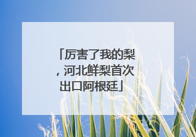 厉害了我的梨，河北鲜梨首次出口阿根廷