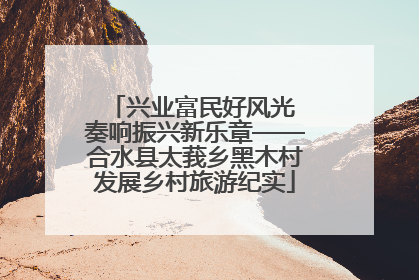 兴业富民好风光 奏响振兴新乐章——合水县太莪乡黑木村发展乡村旅游纪实