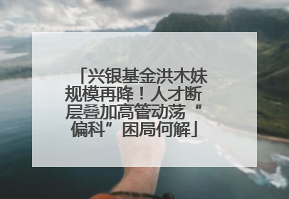 兴银基金洪木妹规模再降！人才断层叠加高管动荡“偏科”困局何解