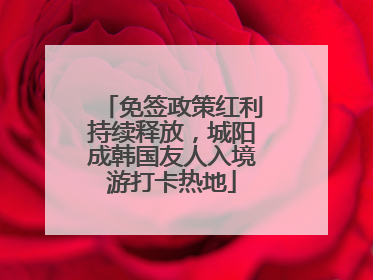 免签政策红利持续释放，城阳成韩国友人入境游打卡热地