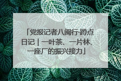 党报记者八闽行·蹲点日记｜一叶茶、一片林、一座厂的振兴接力