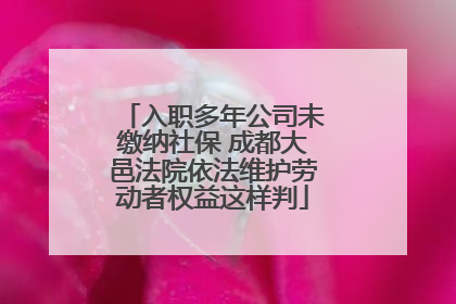 入职多年公司未缴纳社保 成都大邑法院依法维护劳动者权益这样判