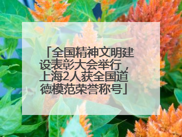 全国精神文明建设表彰大会举行，上海2人获全国道德模范荣誉称号