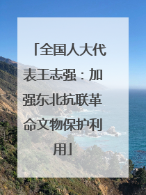 全国人大代表王志强：加强东北抗联革命文物保护利用
