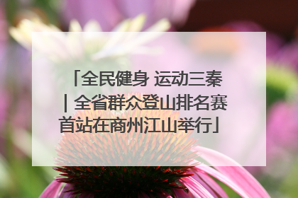 全民健身 运动三秦｜全省群众登山排名赛首站在商州江山举行