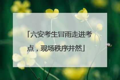 六安考生冒雨走进考点，现场秩序井然