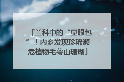 兰科中的“显眼包”！内乡发现珍稀濒危植物毛萼山珊瑚