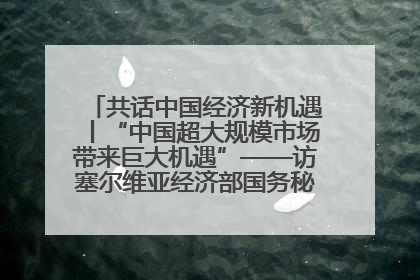 共话中国经济新机遇丨“中国超大规模市场带来巨大机遇”——访塞尔维亚经济部国务秘书尼科利奇