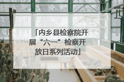 内乡县检察院开展“六一”检察开放日系列活动