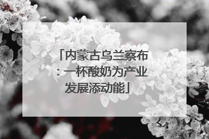 内蒙古乌兰察布：一杯酸奶为产业发展添动能