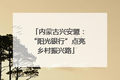 内蒙古兴安盟：“阳光银行”点亮乡村振兴路