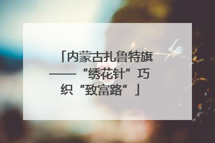 内蒙古扎鲁特旗——“绣花针”巧织“致富路”