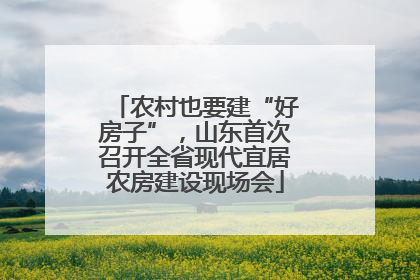 农村也要建“好房子”，山东首次召开全省现代宜居农房建设现场会