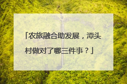 农旅融合助发展，潭头村做对了哪三件事？