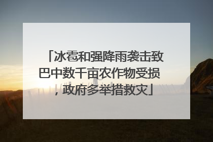 冰雹和强降雨袭击致巴中数千亩农作物受损，政府多举措救灾