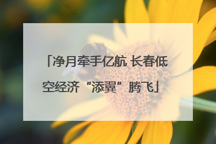 净月牵手亿航 长春低空经济“添翼”腾飞