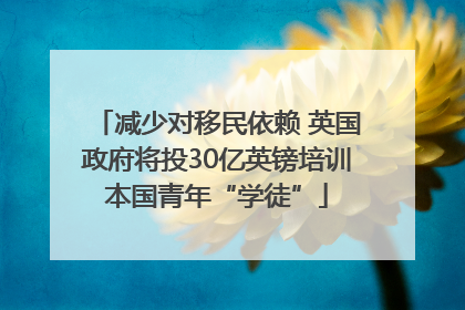 减少对移民依赖 英国政府将投30亿英镑培训本国青年“学徒”