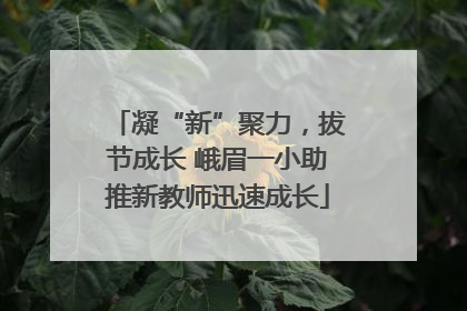 凝“新”聚力，拔节成长 峨眉一小助推新教师迅速成长