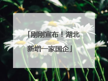 刚刚宣布！湖北新增一家国企