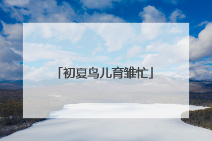 初夏鸟儿育雏忙