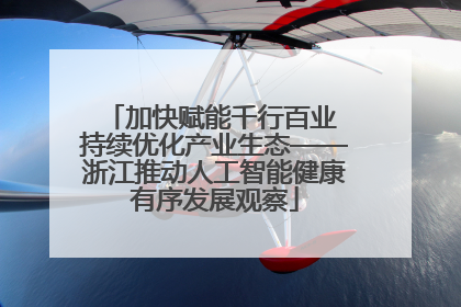 加快赋能千行百业 持续优化产业生态——浙江推动人工智能健康有序发展观察
