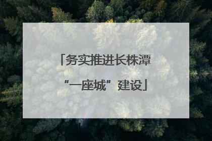 务实推进长株潭“一座城”建设