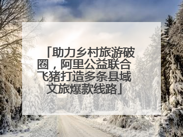 助力乡村旅游破圈，阿里公益联合飞猪打造多条县域文旅爆款线路