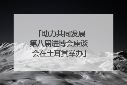 助力共同发展 第八届进博会座谈会在土耳其举办