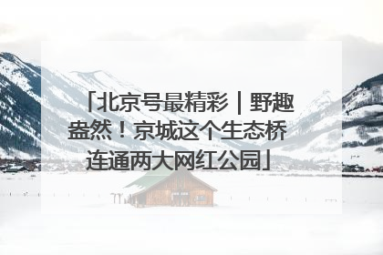 北京号最精彩｜野趣盎然！京城这个生态桥连通两大网红公园