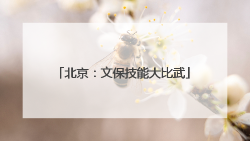 北京：文保技能大比武